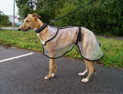 Regn/defileringstäcke Greyhound